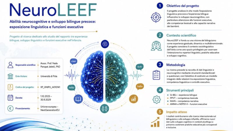 Rafforzamento della collaborazione...