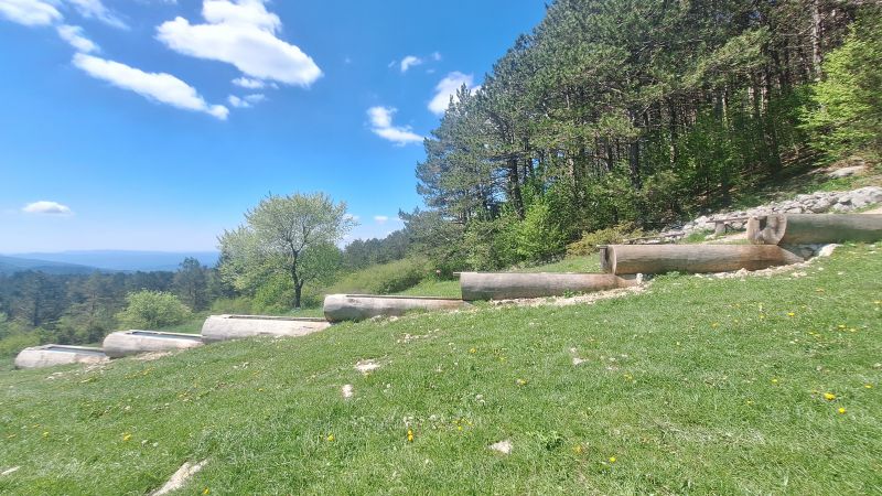 Announcement of the Workshop...