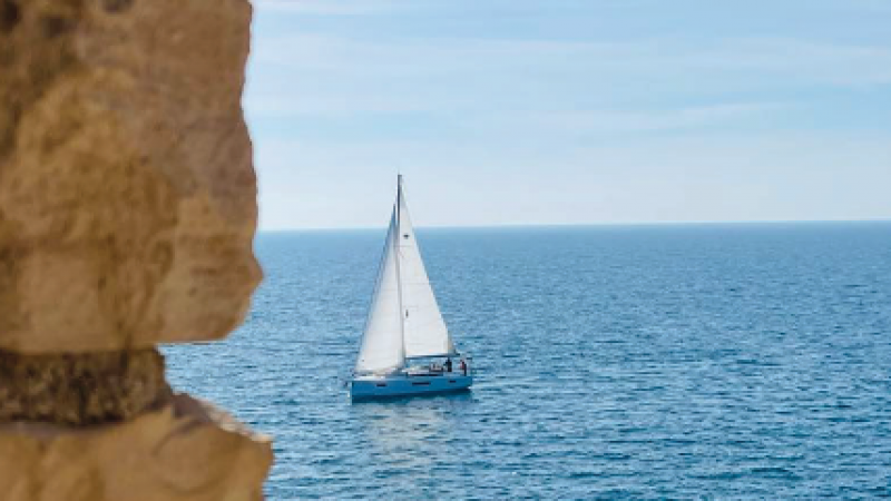 Tabula u čast prof. dr. sc. Valnee...