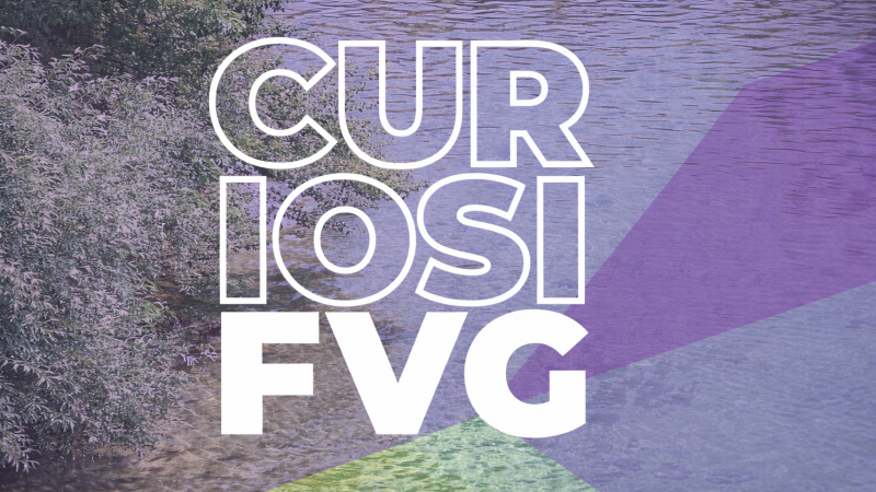 Stipendije / Borse di studio...