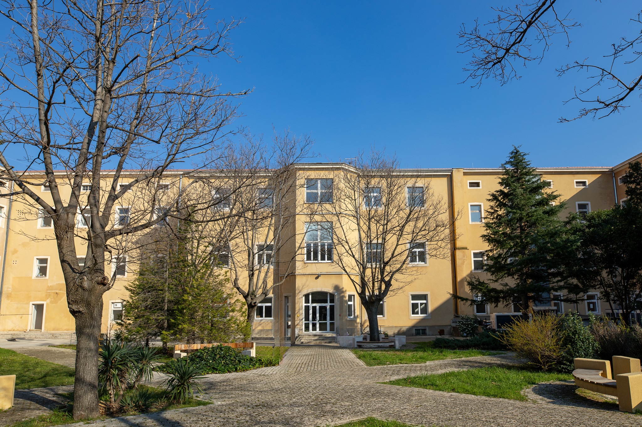 Kontakti